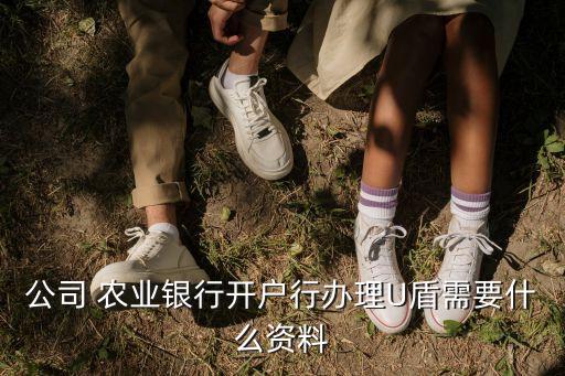 公司 农业银行开户行办理U盾需要什么资料