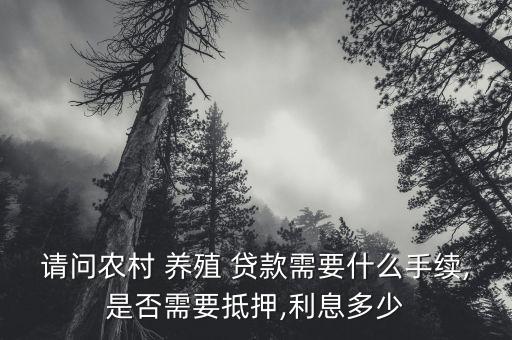 农业养殖贷款怎么还