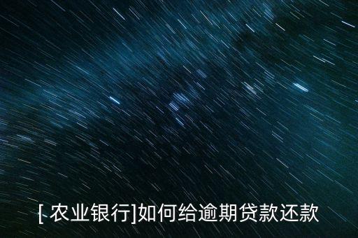 农业货款怎么手动还