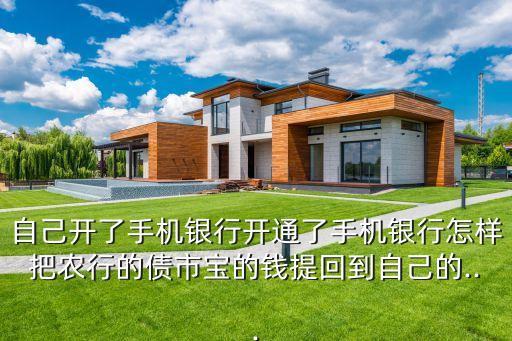 自己开了手机银行开通了手机银行怎样把农行的债市宝的钱提回到自己的...