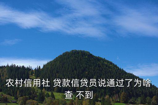 农村信用社 贷款信贷员说通过了为啥查 不到