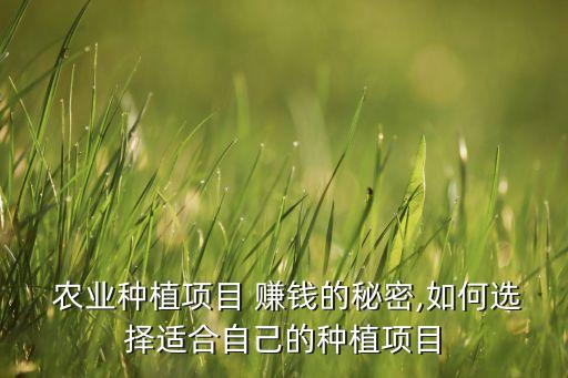 创意农业怎么赚钱,农业怎么发展才能赚钱
