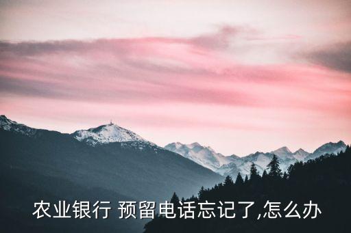  农业银行 预留电话忘记了,怎么办
