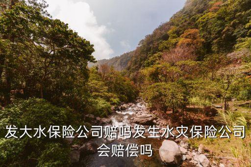 发大水保险公司赔吗发生水灾保险公司会赔偿吗
