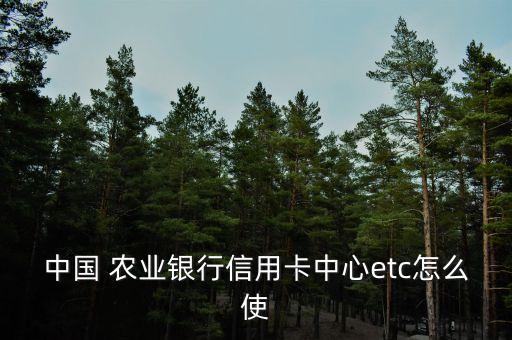 中国 农业银行信用卡中心etc怎么使