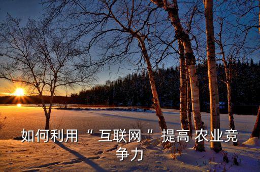 如何利用“ 互联网 ”提高 农业竞争力