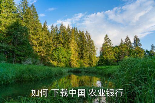 农业银行汇款信息怎么下载,下载了农业银行怎么登录不了