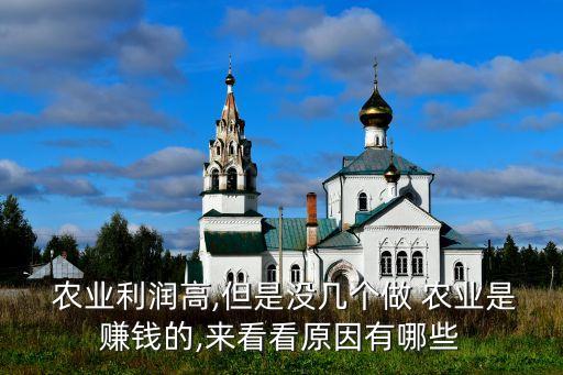企业为什么要投资农业生产
