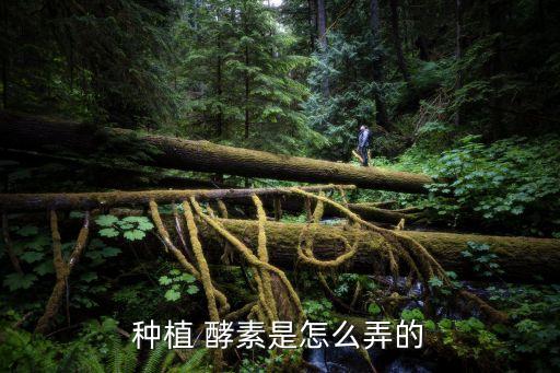 酵素在农业上边怎么用,农业酵素怎么做