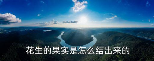 现代农业中怎么摘花生
