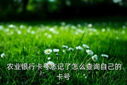 农业银行怎么查班级人员,怎么查农业银行工作人员信息