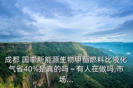 成都 国丰新能源生物甲酯燃料比液化气省40%是真的吗～有人在做吗,市场...