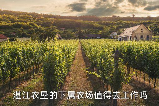  湛江农垦的下属农场值得去工作吗