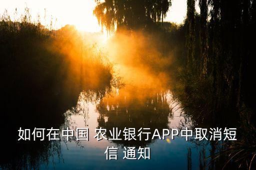农业银行怎么暂停收款通知