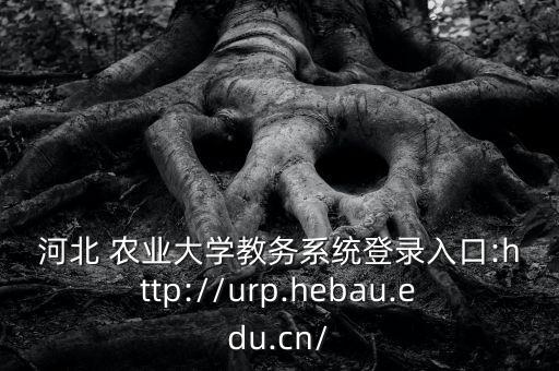 河北 农业大学教务系统登录入口:http://urp.hebau.edu.cn/