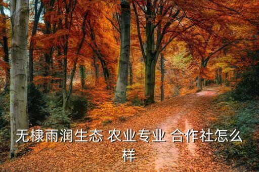 山东金牛农业合作社怎么样