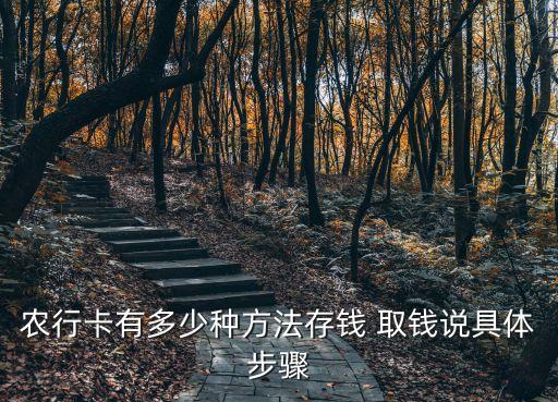 农业银行怎么取钱步骤新的,去农业银行怎么取钱