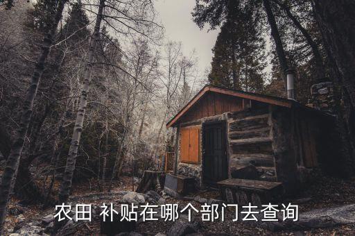农田 补贴在哪个部门去查询