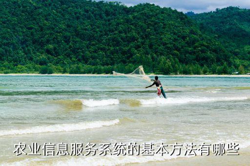  农业信息服务系统的基本方法有哪些