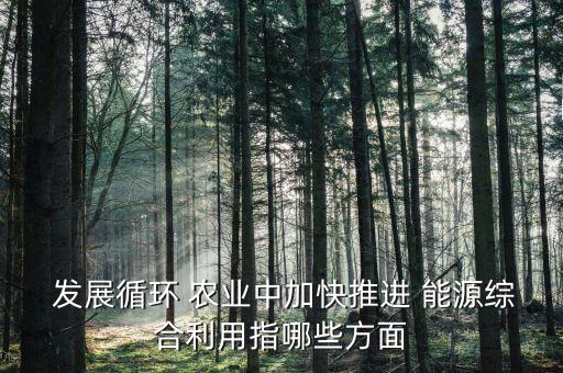  发展循环 农业中加快推进 能源综合利用指哪些方面