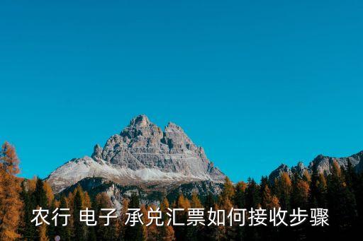 农业银行怎么托收电子承兑