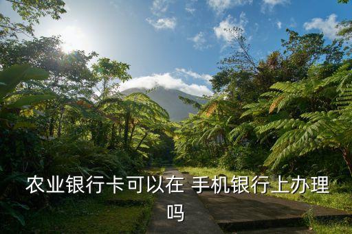 手机怎么建农业银行的卡,手机农业银行能绑两张卡吗