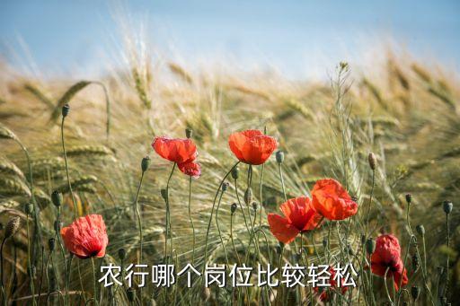 农业银行柜员怎么玩