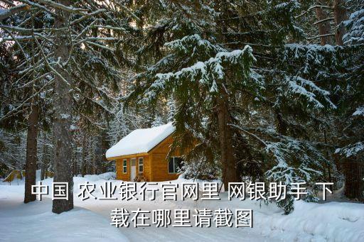 中国 农业银行官网里 网银助手 下载在哪里请截图