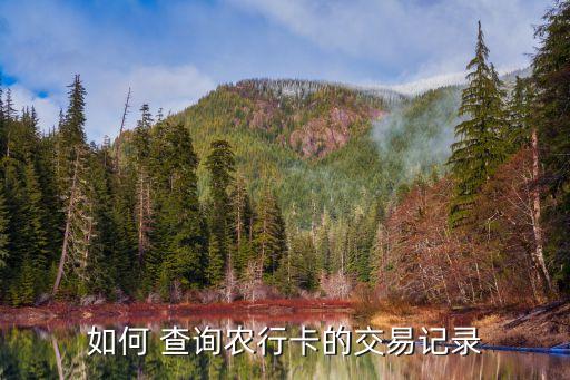 如何 查询农行卡的交易记录