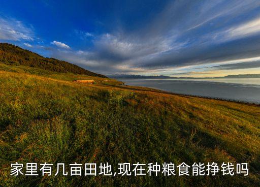 在家搞农业怎么样,去俄罗斯搞农业怎么样