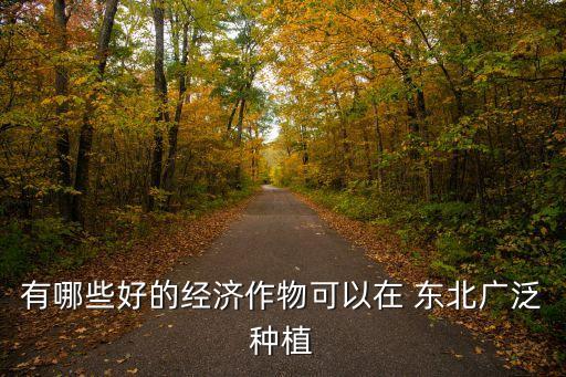 东北种什么农业好,东北林区适合发展什么农业?