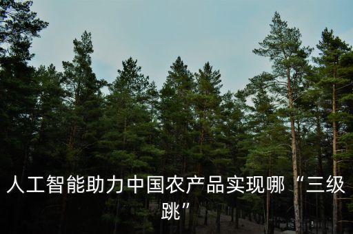人工智能助力中国农产品实现哪“三级跳”