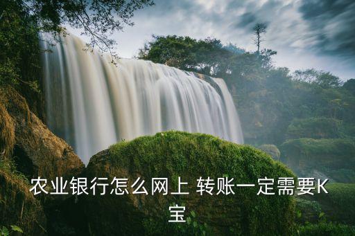 农业掌银怎么转账,掌银怎么转账到个人