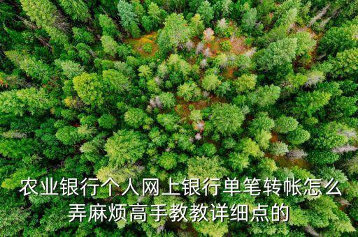 农业银行怎么设置汇款账号