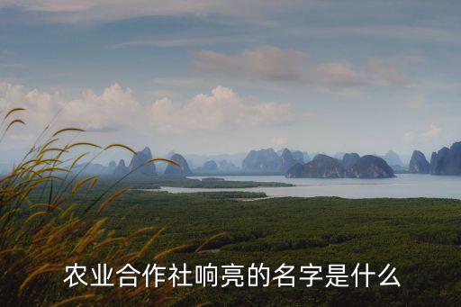 众禾农业怎么样,开封众禾农业