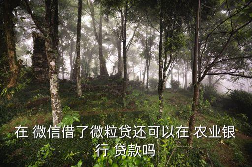 在 微信借了微粒贷还可以在 农业银行 贷款吗