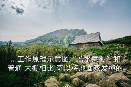 大棚研究农业的图片怎么画