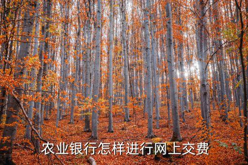 农业银行代扣代缴怎么缴费
