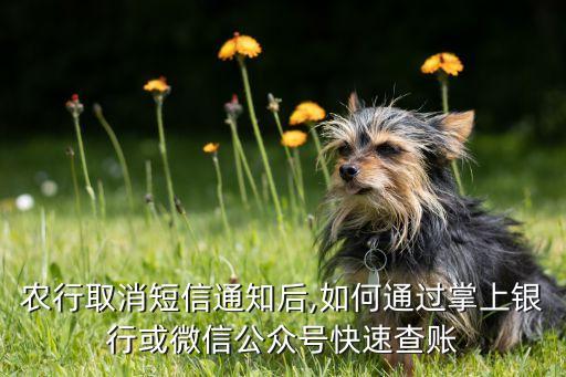 农村农业费怎么查帐,农业农村局的投诉电话