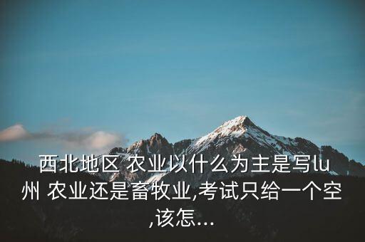 西北农业怎么发达的呢
