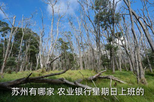  苏州有哪家 农业银行星期日上班的