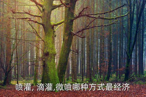 广东农业滴灌怎么选