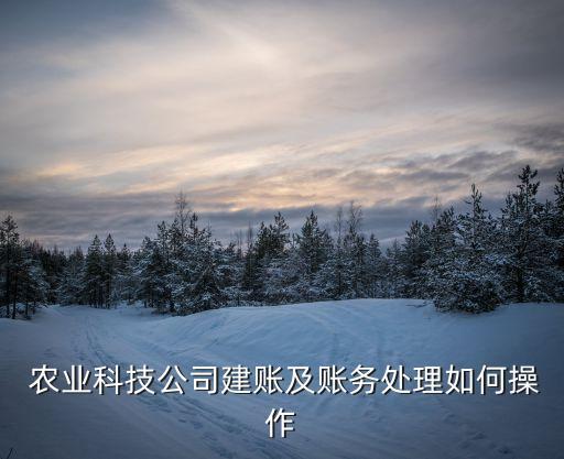 农业产品记账本怎么写,喜事记账本怎么写