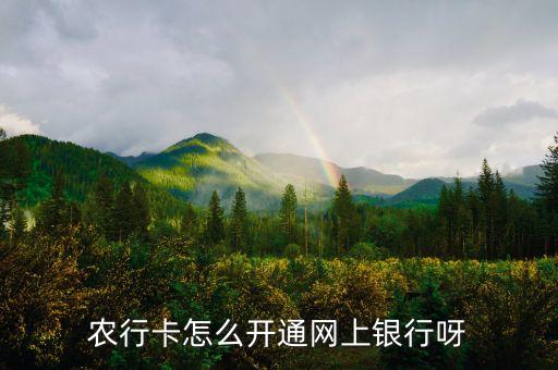 农业银行怎么申请网银吗