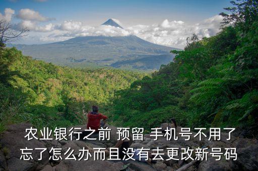 怎么查询农业银行预留手机,查询农业银行预留手机号码app