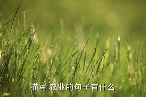 描写 农业的句子有什么