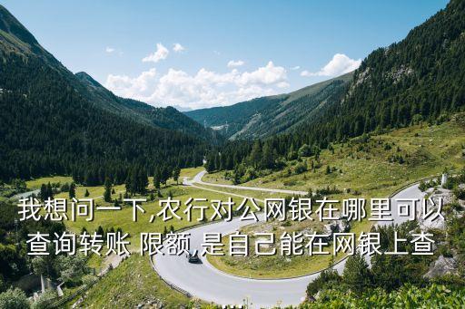 农业银行怎么查网银限额