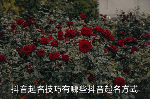 抖音起名技巧有哪些抖音起名方式