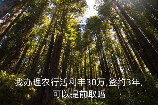 农业银行怎么取30万现金