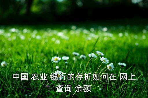 中国 农业 银行的存折如何在 网上查询 余额